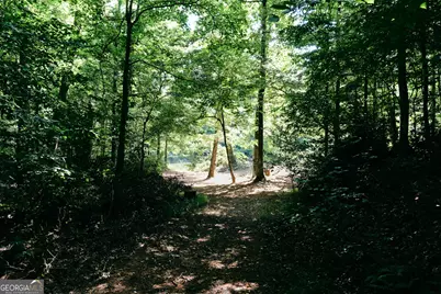 177 Antler Drive, Thomaston, GA 30286 - Photo 87