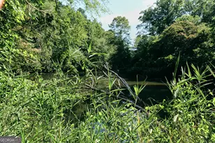 177 Antler Dr, Thomaston, GA 30286 - Photo 101