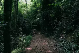 177 Antler Dr, Thomaston, GA 30286 - Photo 91