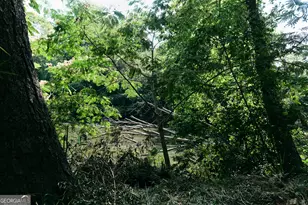 177 Antler Dr, Thomaston, GA 30286 - Photo 93