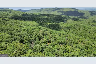 224 Dragon Tree Lane, Lakemont, GA 30552 - Photo 33