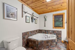 224 Dragon Tree Ln, Lakemont, GA 30552 - Photo 13