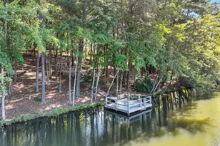 13540 Providence Lake Dr, Alpharetta, GA 30004 - Photo 75