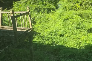 556 Bolton Rd NW, Atlanta, GA 30331 - Photo 11