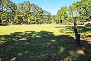 338 Jerry Hall Rd, Statesboro, GA 30461 - Photo 65