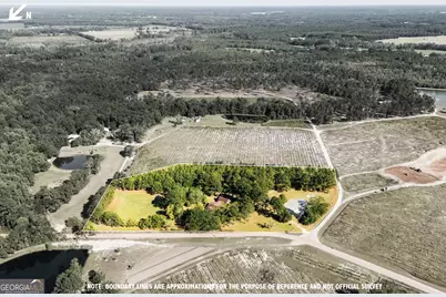 338 Jerry Hall Road, Statesboro, GA 30461 - Photo 3