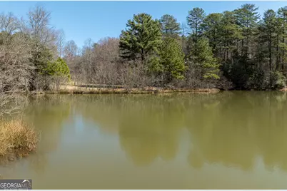 138 Laurel Ridge, Morganton, GA 30560 - Photo 43