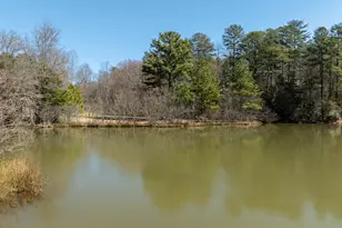 138 Laurel Rdg, Morganton, GA 30560 - Photo 43