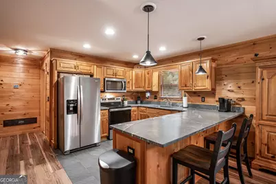 480 Palmetto Drive, Ellijay, GA 30540 - Photo 9