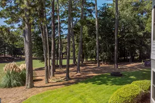 1011 Ridge Terrace, Greensboro, GA 30642 - Photo 49