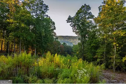 Lot 290 Anglers Ridge Road, Talking Rock, GA 30175 - Photo 9
