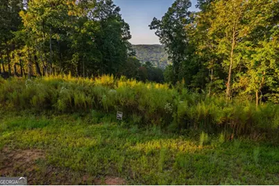Lot 290 Anglers Ridge Road, Talking Rock, GA 30175 - Photo 13