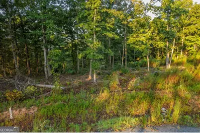 Lot 290 Anglers Ridge Road, Talking Rock, GA 30175 - Photo 11