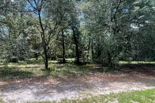 Lot 1A-13 Coopers Point Dr, Townsend, GA 31331 - Photo 1