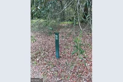 Lot 1A-13 Coopers Point Drive, Townsend, GA 31331 - Photo 5