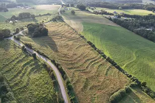 391 W L Williams Rd, Commerce, GA 30530 - Photo 1