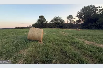 9 W L Williams Road, Commerce, GA 30530 - Photo 7