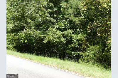 Lots 1 &amp; 2 Twin Knolls Trail, Martin, GA 30557 - Photo 21