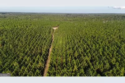 Tracts 10 and 1 Penny Morris Road, Baxley, GA 31513 - Photo 1