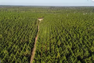 Tracts 10 and 1 Penny Morris Rd, Baxley, GA 31513 - Photo 1