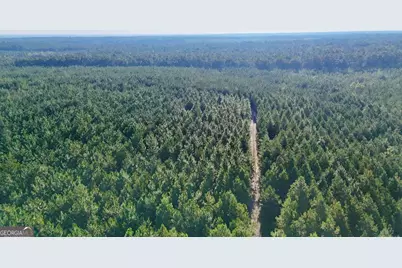 Tracts 10 and 1 Penny Morris Road, Baxley, GA 31513 - Photo 3