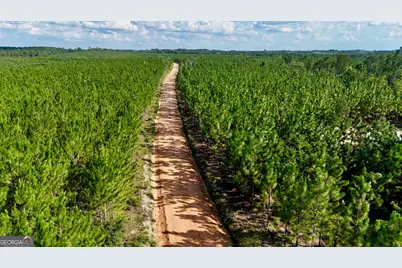 Tracts 10 and 1 Penny Morris Road, Baxley, GA 31513 - Photo 5