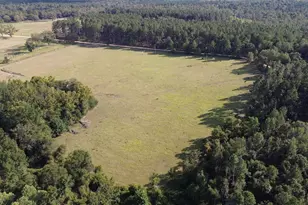 1 Hawhammock Church Rd, Swainsboro, GA 30401 - Photo 1