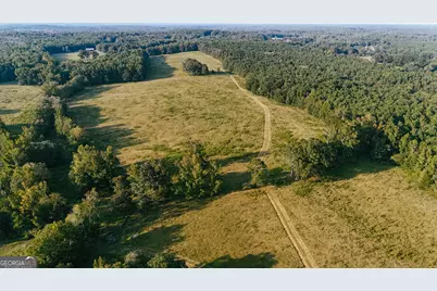 260.66 Ac Bohannon Road, Grantville, GA 30220 - Photo 13
