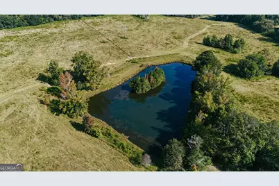 260.66 Ac Bohannon Road, Grantville, GA 30220 - Photo 5