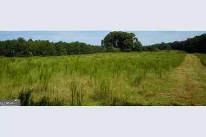 260.66 Ac Bohannon Road, Grantville, GA 30220 - Photo 21