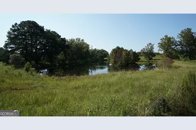 260.66 Ac Bohannon Road, Grantville, GA 30220 - Photo 15
