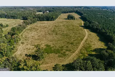 260.66 Ac Bohannon Road, Grantville, GA 30220 - Photo 7