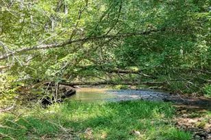 330 Coosa Run, Blairsville, GA 30512 - Photo 61