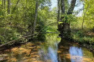 330 Coosa Run, Blairsville, GA 30512 - Photo 9