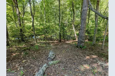 330 Coosa Run, Blairsville, GA 30512 - Photo 59