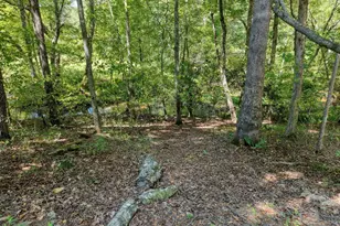 330 Coosa Run, Blairsville, GA 30512 - Photo 59
