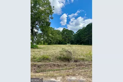 3360 Strickland Avenue Extension, Blackshear, GA 31516 - Photo 5