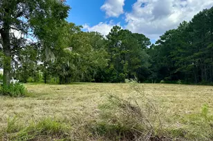 3360 Strickland Ave Ext, Blackshear, GA 31516 - Photo 5