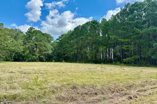 3360 Strickland Ave Ext, Blackshear, GA 31516 - Photo 3