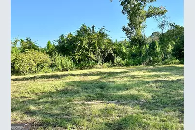 3344 Strickland Avenue Extension, Blackshear, GA 31516 - Photo 3