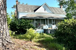 3344 Strickland Ave Ext, Blackshear, GA 31516 - Photo 13