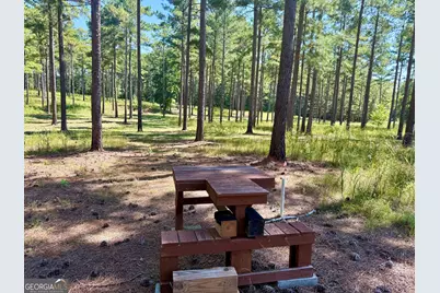 849 Orchard Road, Pine Mountain, GA 31823 - Photo 63