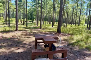 849 Orchard Rd, Pine Mountain, GA 31823 - Photo 63