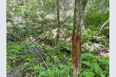 849 Orchard Road, Pine Mountain, GA 31823 - Photo 47