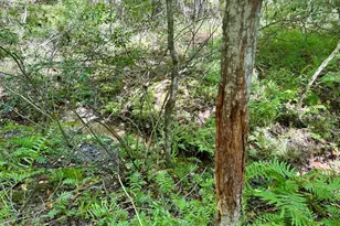 849 Orchard Rd, Pine Mountain, GA 31823 - Photo 47