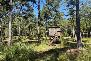 849 Orchard Rd, Pine Mountain, GA 31823 - Photo 41