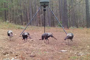 849 Orchard Rd, Pine Mountain, GA 31823 - Photo 79