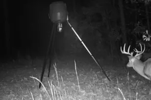 849 Orchard Rd, Pine Mountain, GA 31823 - Photo 75