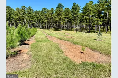 849 Orchard Road, Pine Mountain, GA 31823 - Photo 59