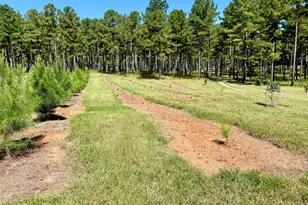 849 Orchard Rd, Pine Mountain, GA 31823 - Photo 59